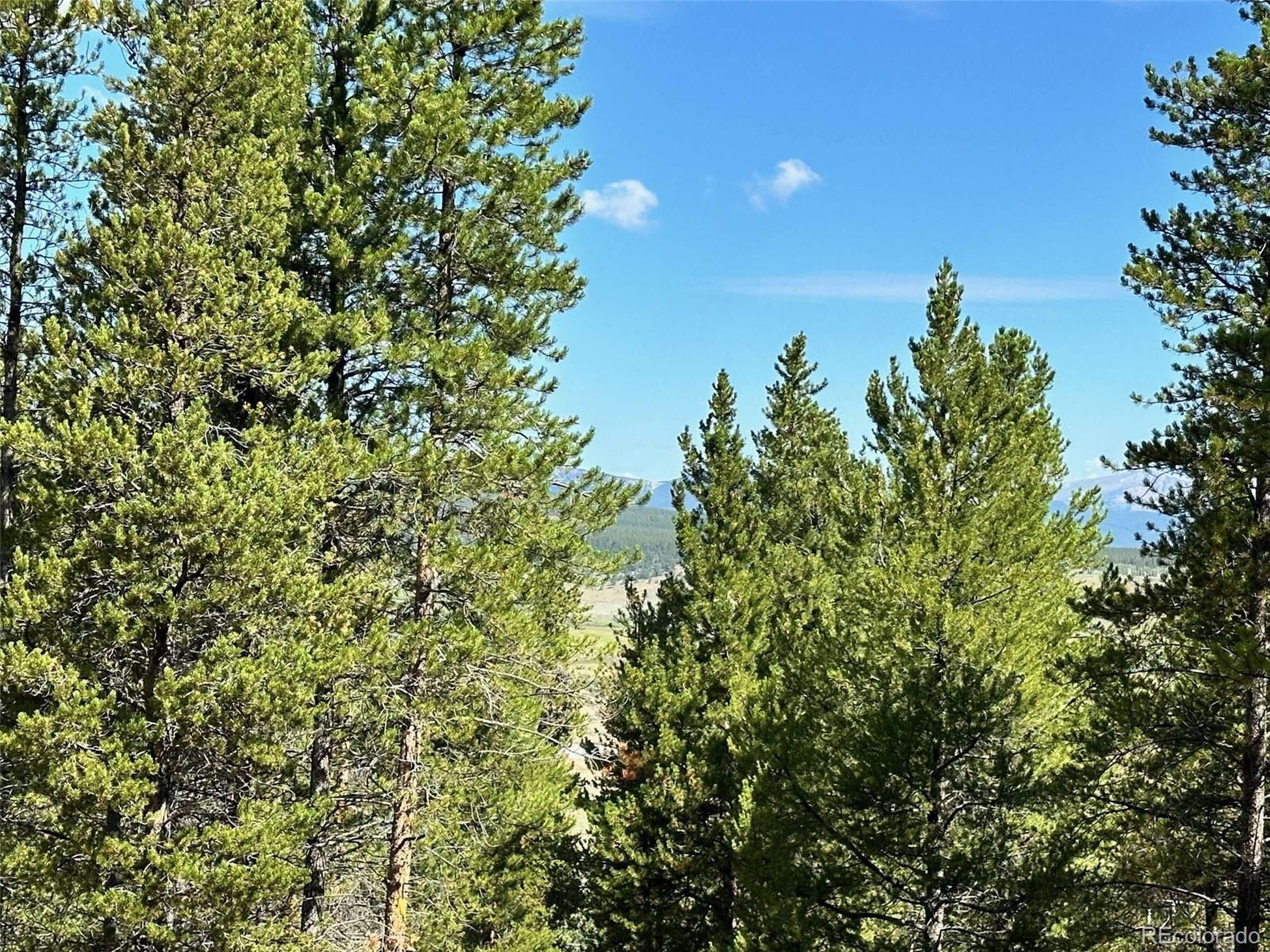 Twin Lakes, CO 81251,776 Spruce Dr