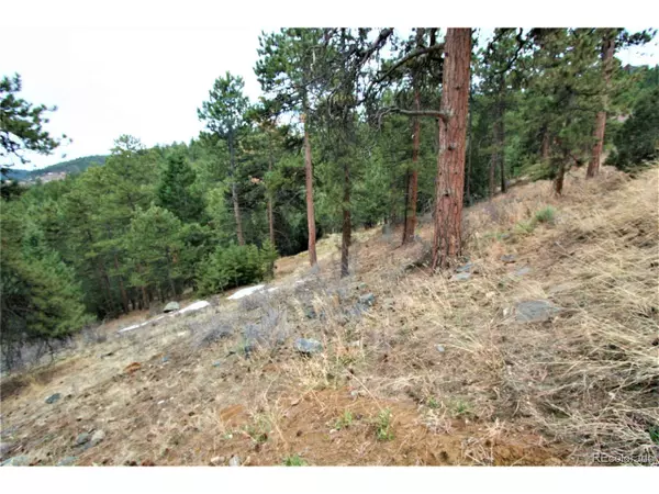 Golden, CO 80401,28891 Lower Moss Rock Rd