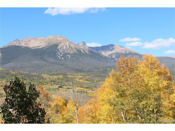 Silverthorne, CO 80498,63 P Rd