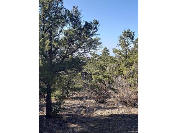 150 Lake Of The Falls Pkwy, Mosca, CO 81146
