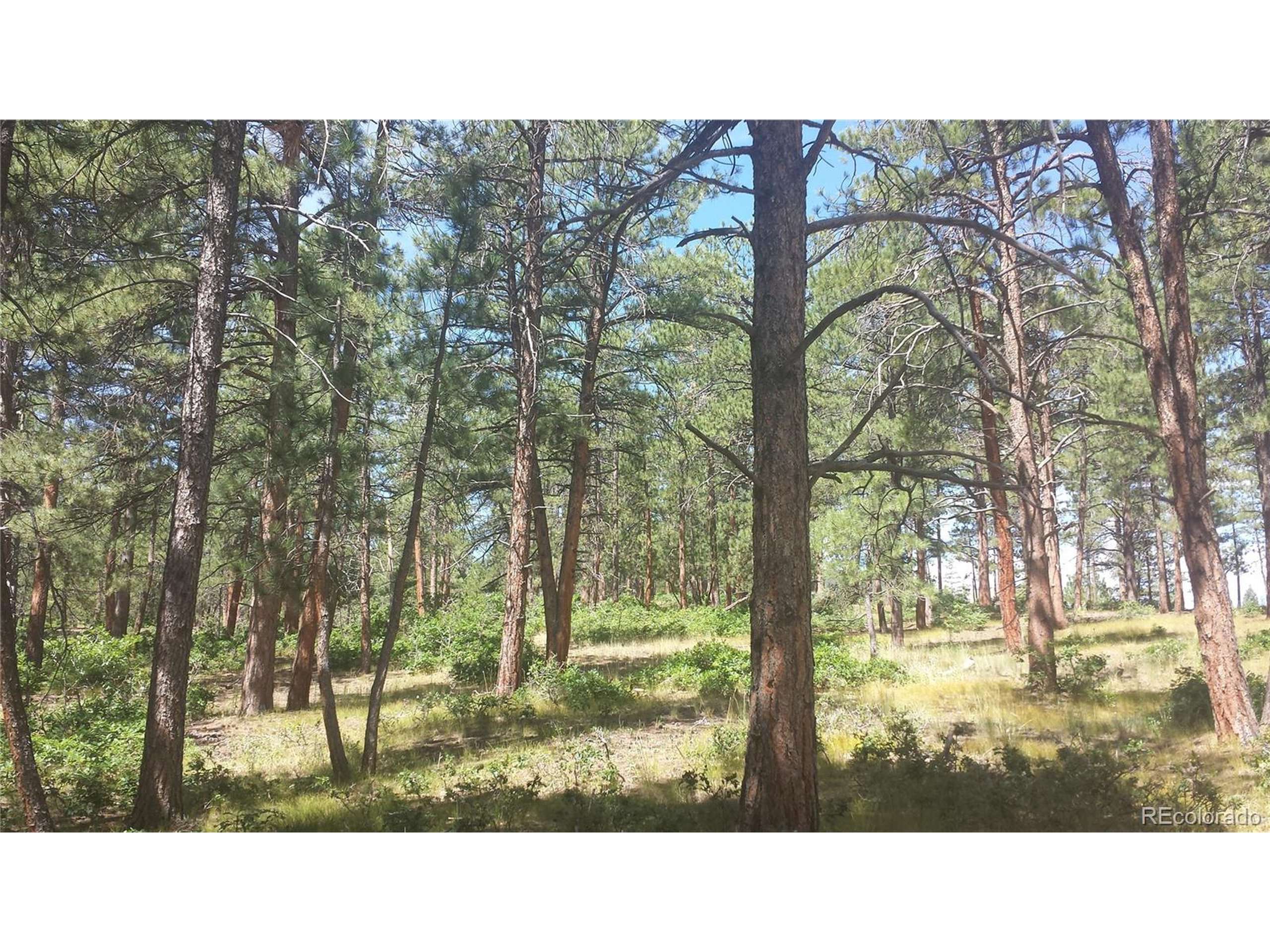 Larkspur, CO 80118,4467 Delaware Dr