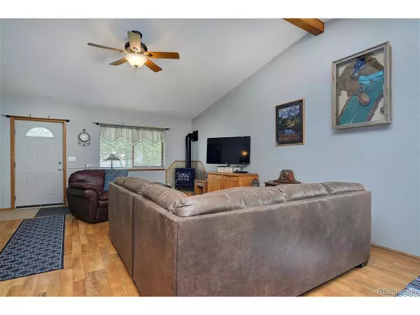 Buena Vista, CO 81211,107 Creekside Ct
