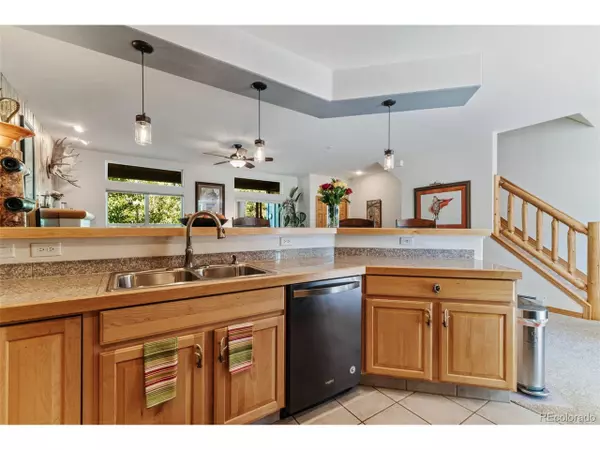 Silverthorne, CO 80498,115 Mountain Vista Ln