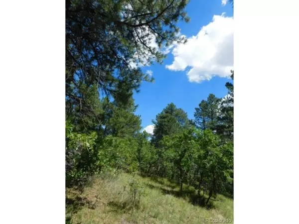 Larkspur, CO 80118,4535 Cheyenne Dr