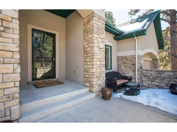 Castle Rock, CO 80108,4541 SILVER DALE Ct