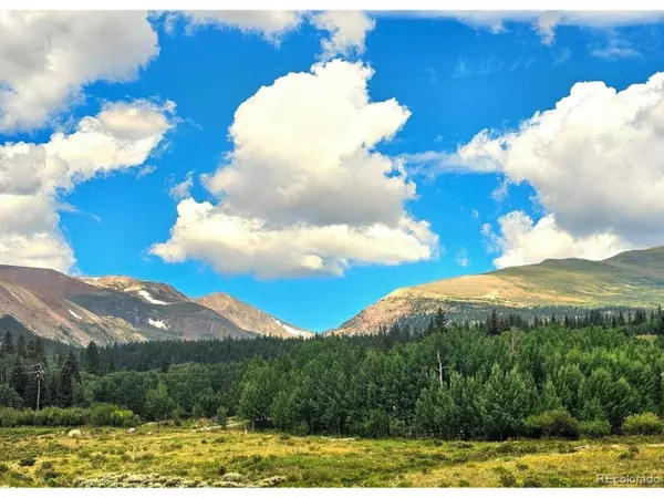 Fairplay, CO 80440,295 Silver Plume Rd