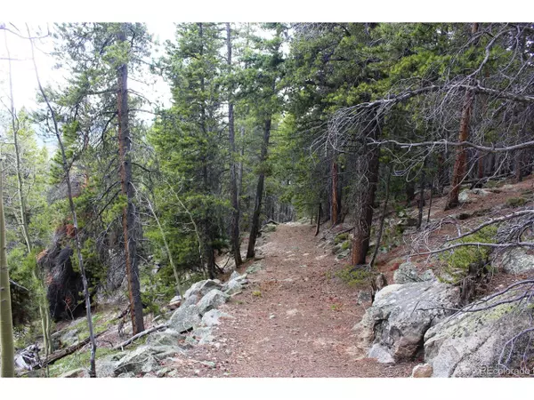 Idaho Springs, CO 80452,4 Lamartine Rd