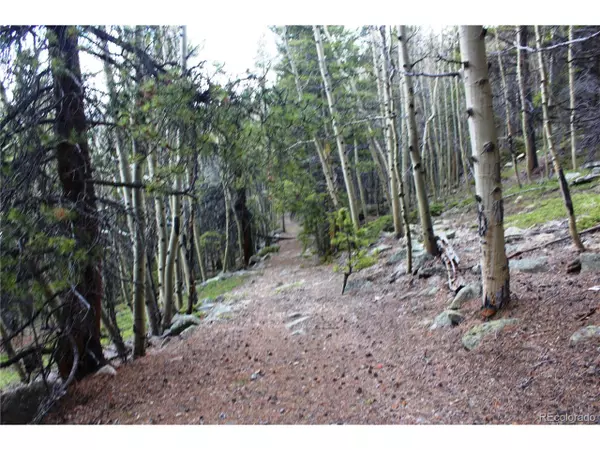 Idaho Springs, CO 80452,4 Lamartine Rd