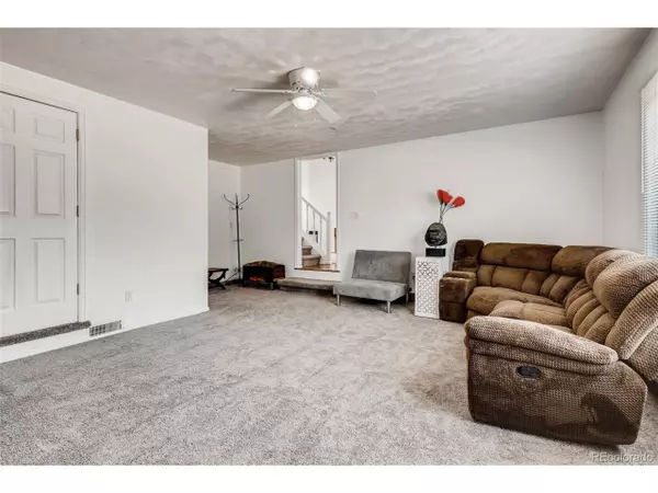 Lakewood, CO 80226,37 Pierce St