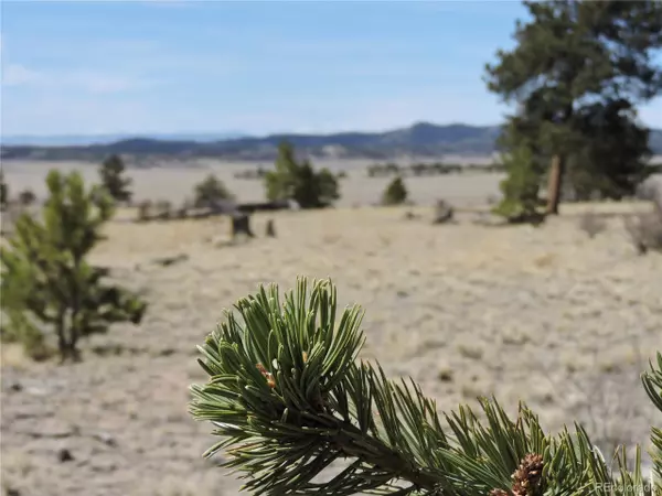 Hartsel, CO 80449,237 Rocky Mountain Ct