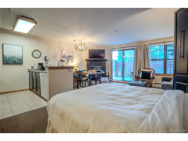 Breckenridge, CO 80424,100 S Park Ave #W115/W116