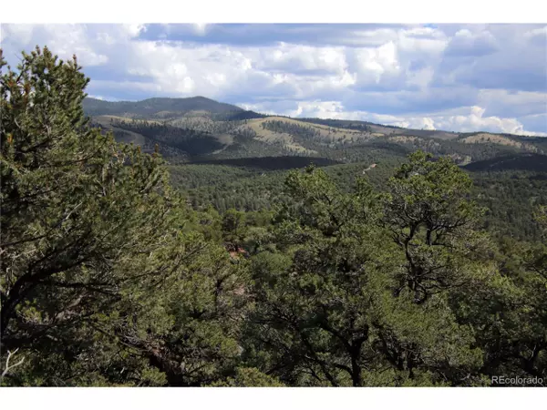 San Luis, CO 81133,4503 Alexandre Rd