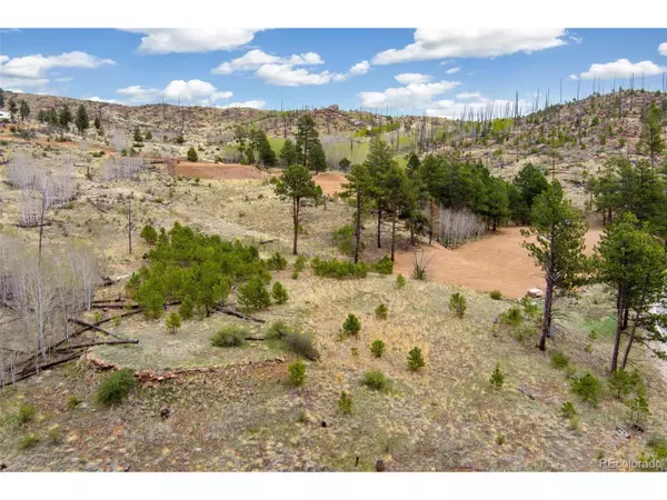Woodland Park, CO 80863,13990 S State Highway 67