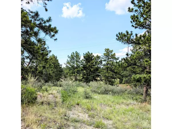 Parker, CO 80138,11634 Bell Cross Cir