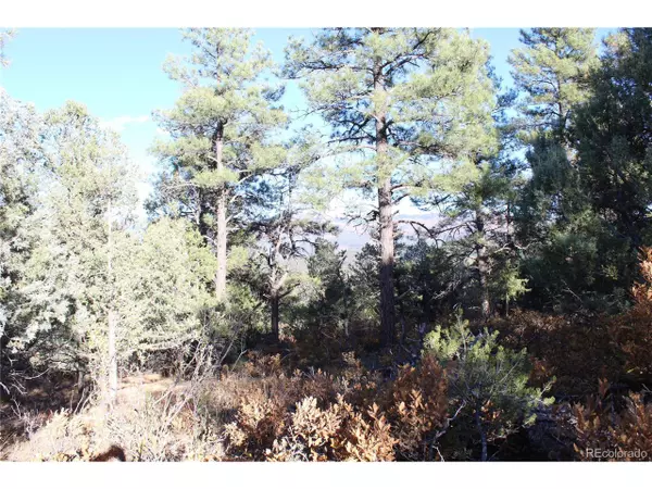 Trinidad, CO 81082,32802 Ptarmigan Ct