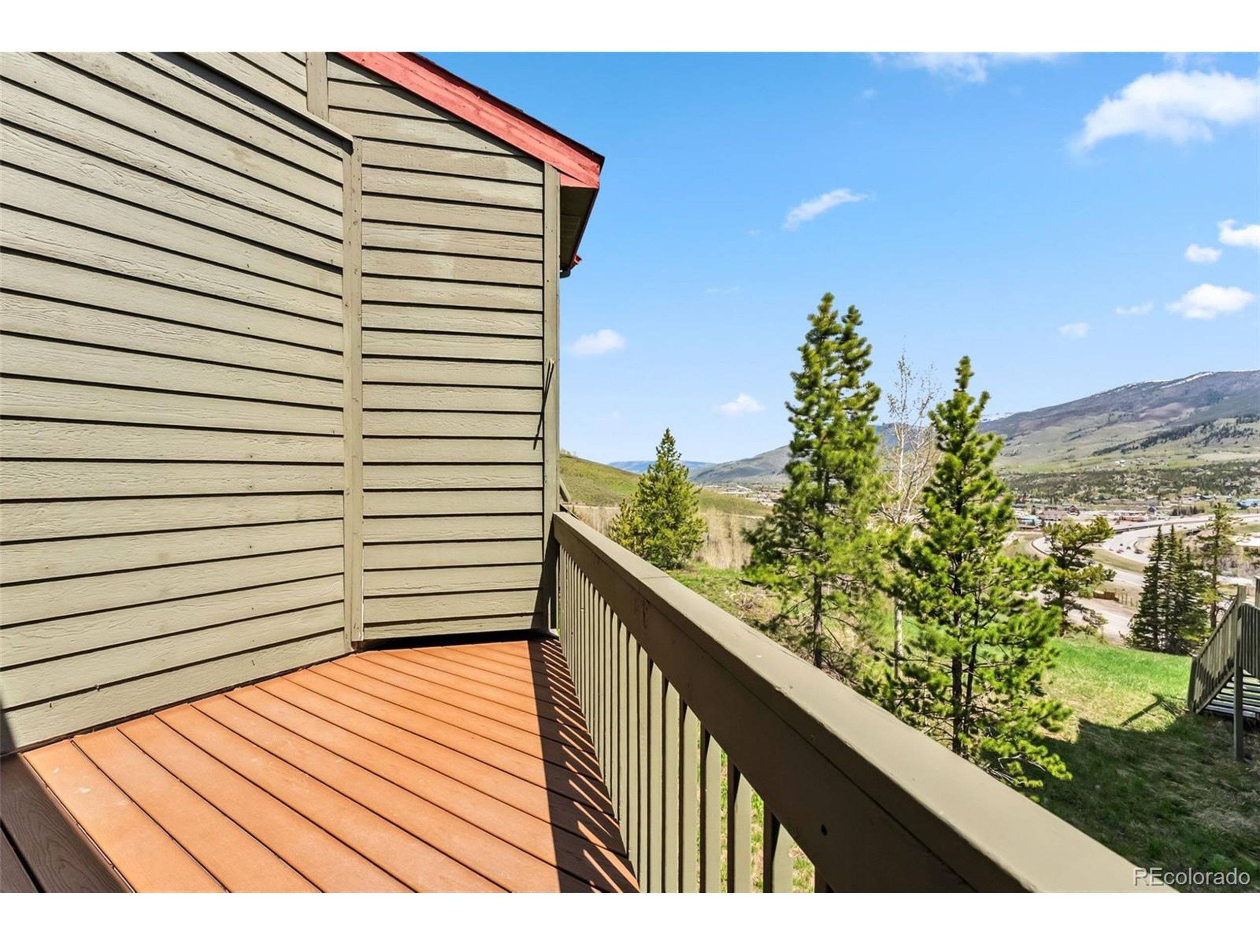 Silverthorne, CO 80498,162 Fawn Ct