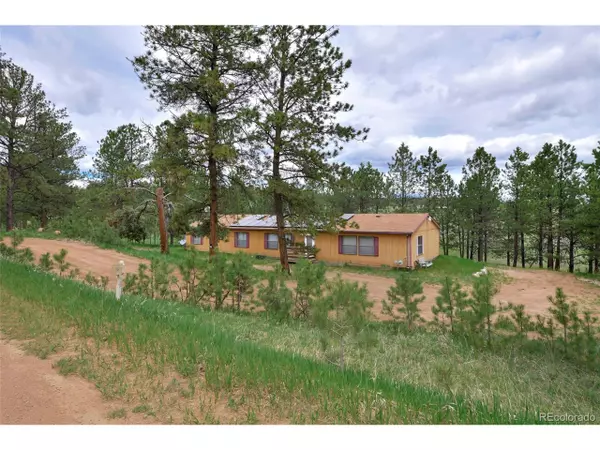 455 Matterhorn Dr, Florissant, CO 80816