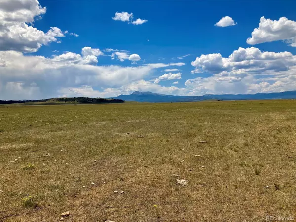 Hartsel, CO 80449,0 Fourmile Creek Rd