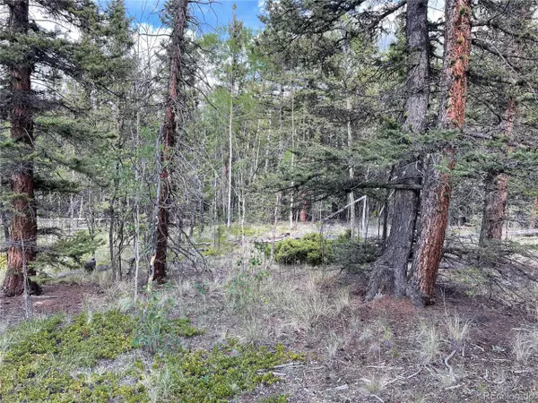 Jefferson, CO 80456,80 Haida Way