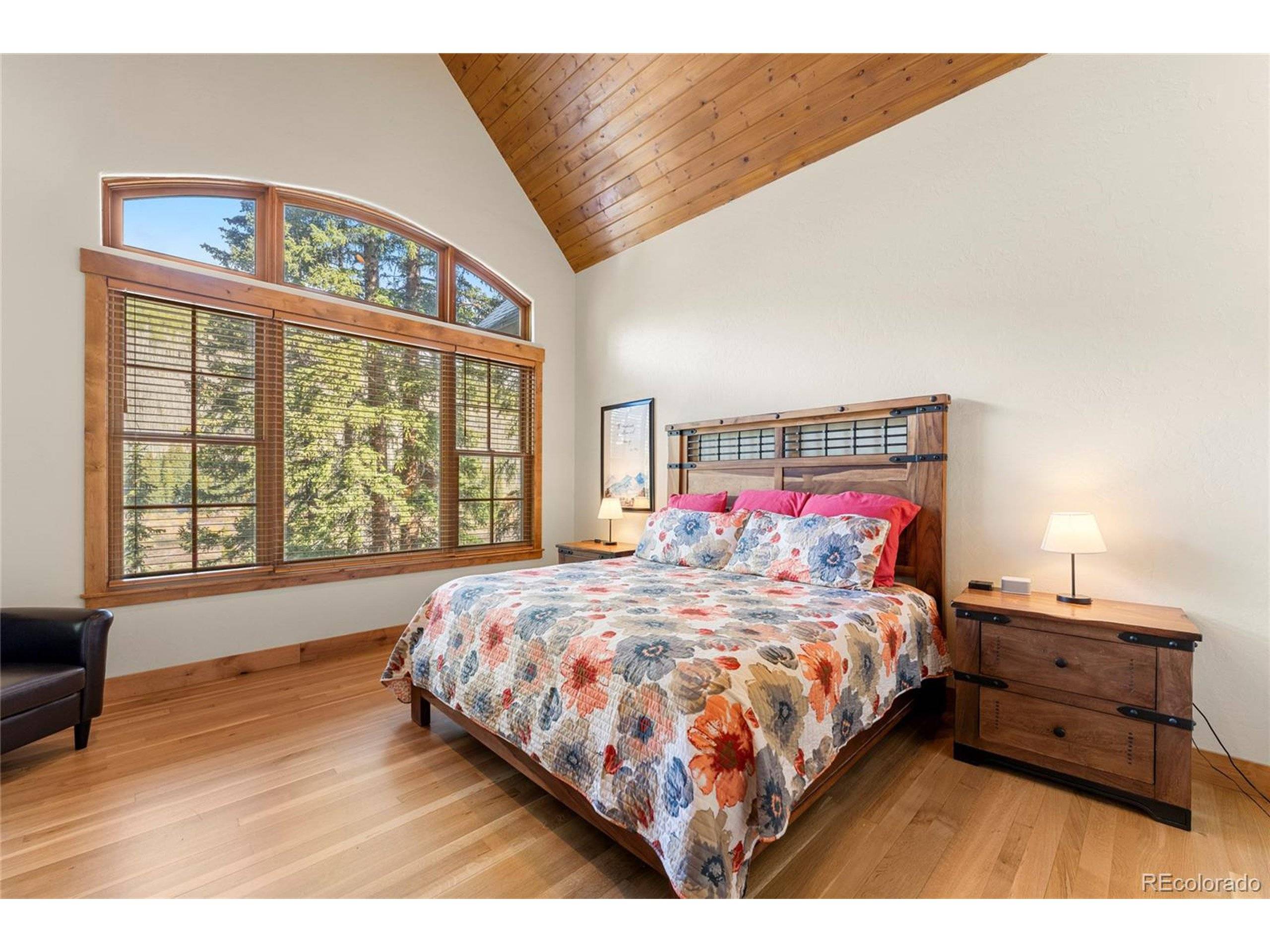Blue River, CO 80424,50 Cooney Ct