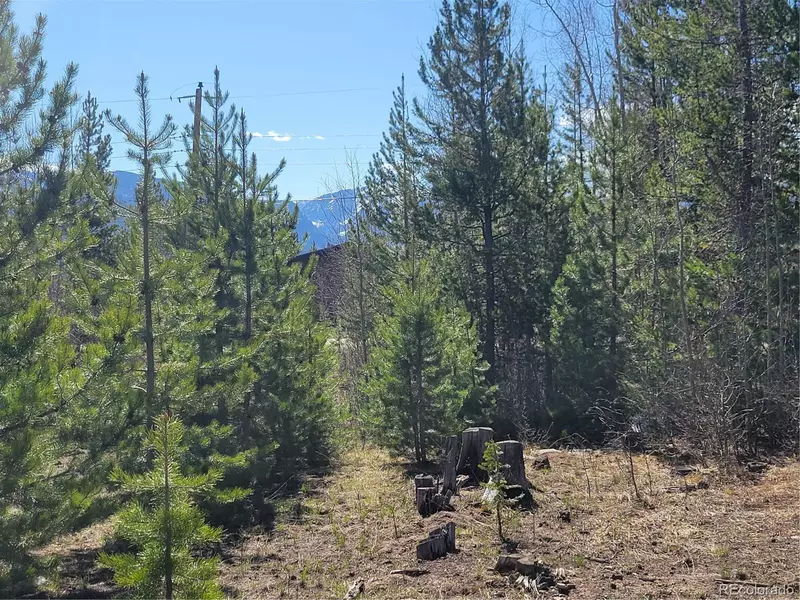 1193 GCR 49, Grand Lake, CO 80447