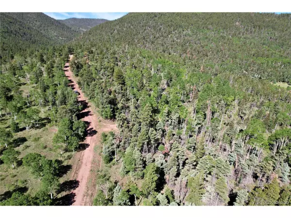 Fort Garland, CO 81133,2938 Kemper Loop
