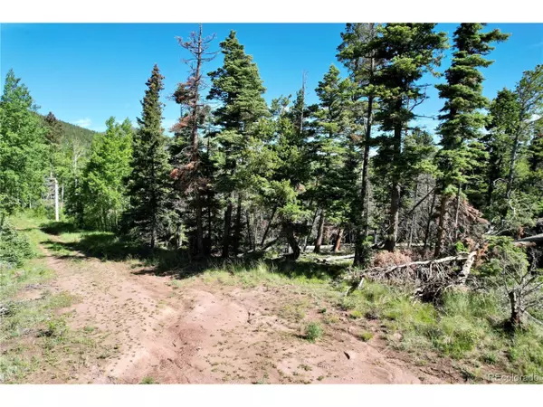 Fort Garland, CO 81133,2938 Kemper Loop