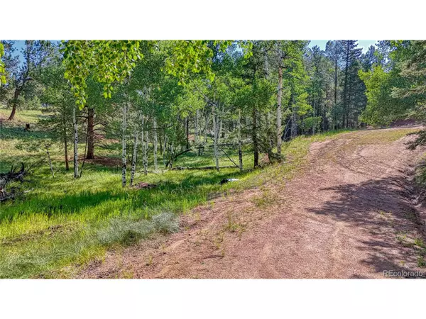 Florissant, CO 80816,91 Antelope Cir