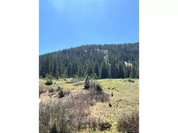 2711 Forest Queen MC, Buena Vista, CO 81211