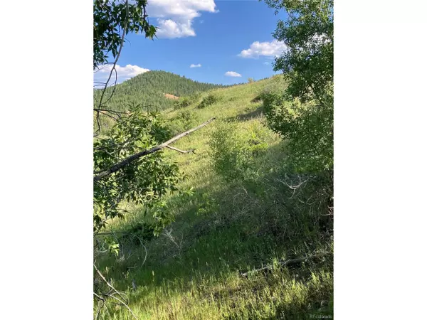 Central City, CO 80427,205 Casey St