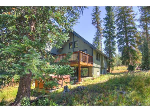 173 Lone Hand Way, Breckenridge, CO 80424