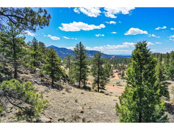 168 Sprucewood Dr,  Florissant,  CO 80816