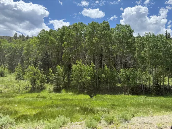 Westcliffe, CO 81252,7700 Junkins Park