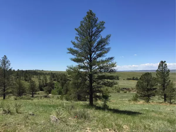 Parcel E, Deer Trail, CO 80105