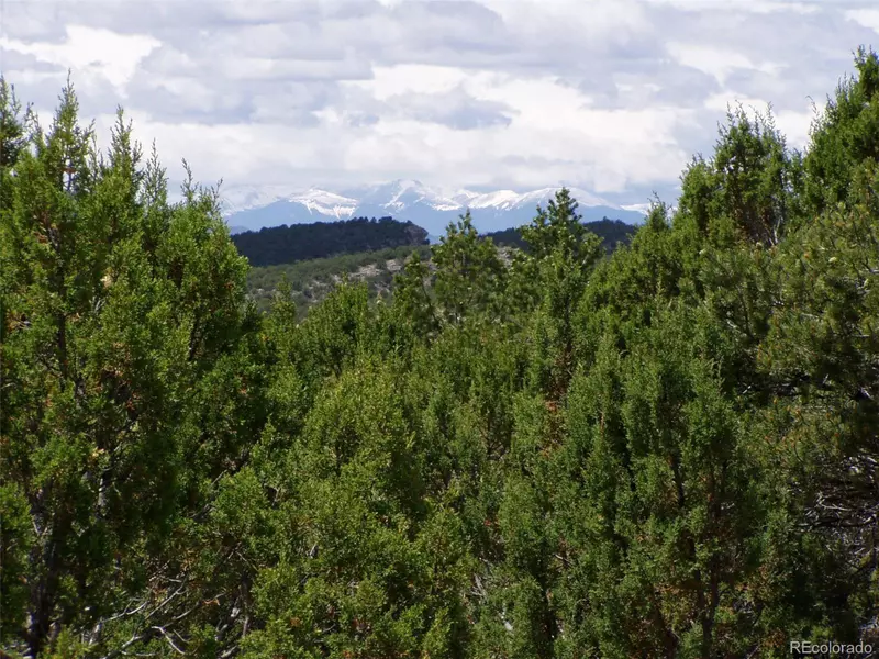 0 Lakeview Lane, Penrose, CO 81240