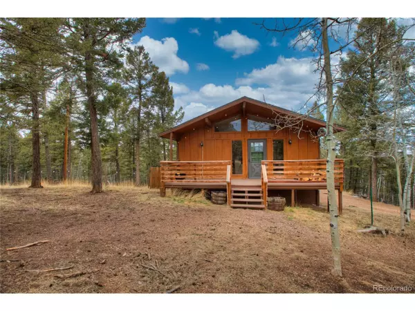 1307 County Road 512, Divide, CO 80814