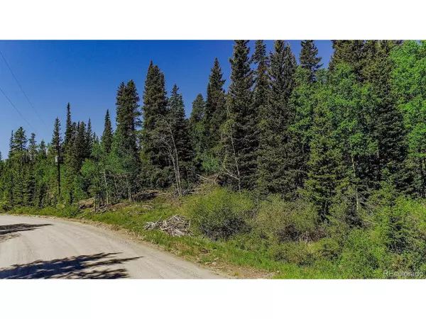 Fairplay, CO 80440,275 Mine Dump Rd