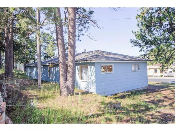 Woodland Park, CO 80863,303 S Baldwin St