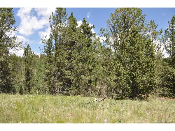 Cripple Creek, CO 80813,104 Brown Bear Ln