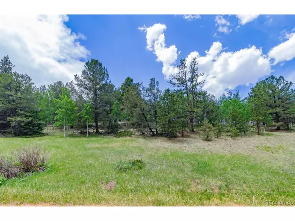 185 Willow Rd, Divide, CO 80814