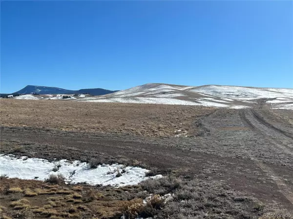 0 Chickasaw Rd, Hartsel, CO 80449