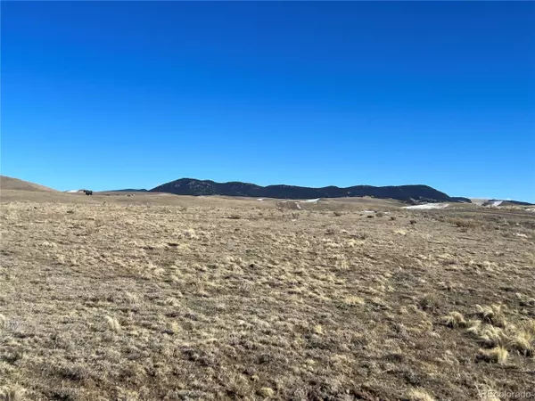 Hartsel, CO 80449,0 Chickasaw Rd