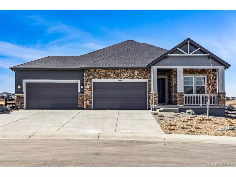 3884 Freestone Pt, Castle Rock, CO 80108