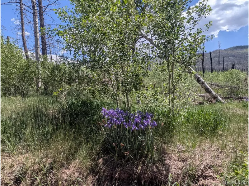 904 Ueda Pl & Forbes Park Rd, Fort Garland, CO 81133