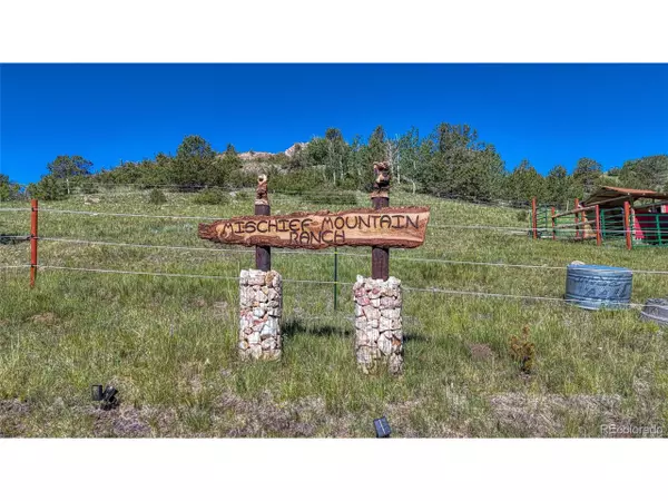 Florissant, CO 80816,1455 N B St