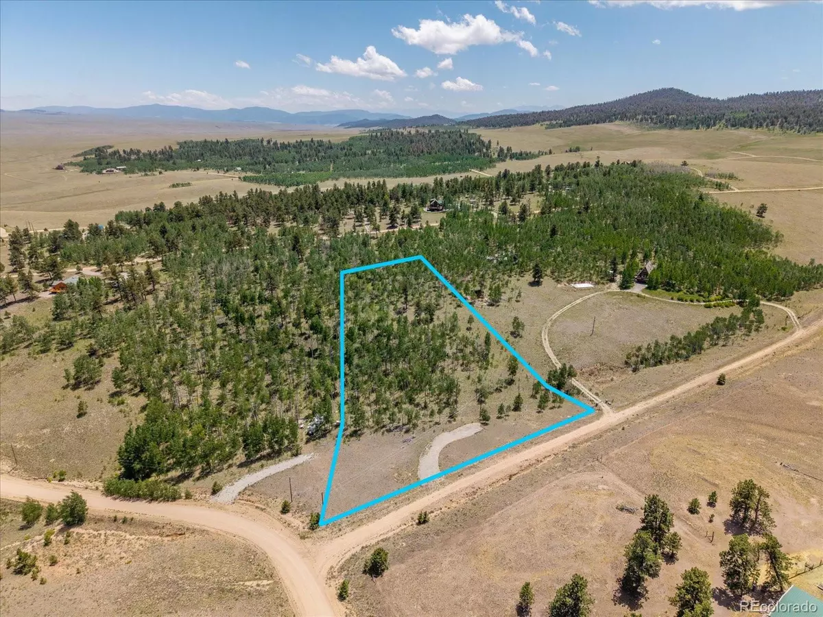 Hartsel, CO 80449,40 Brahma Ct