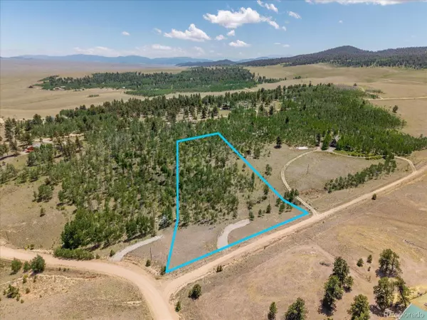 40 Brahma Ct, Hartsel, CO 80449