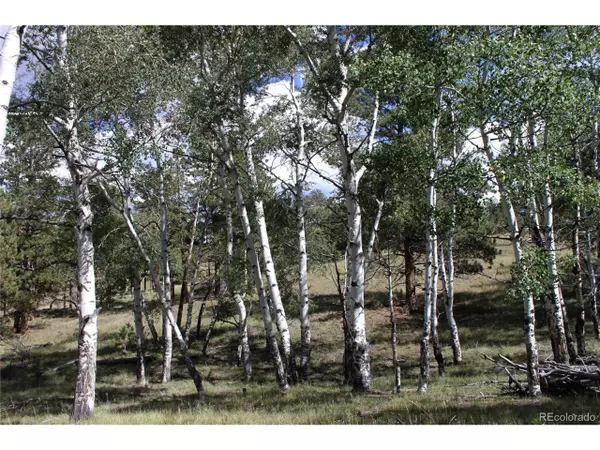 180 Shoshone Trl, Westcliffe, CO 81252