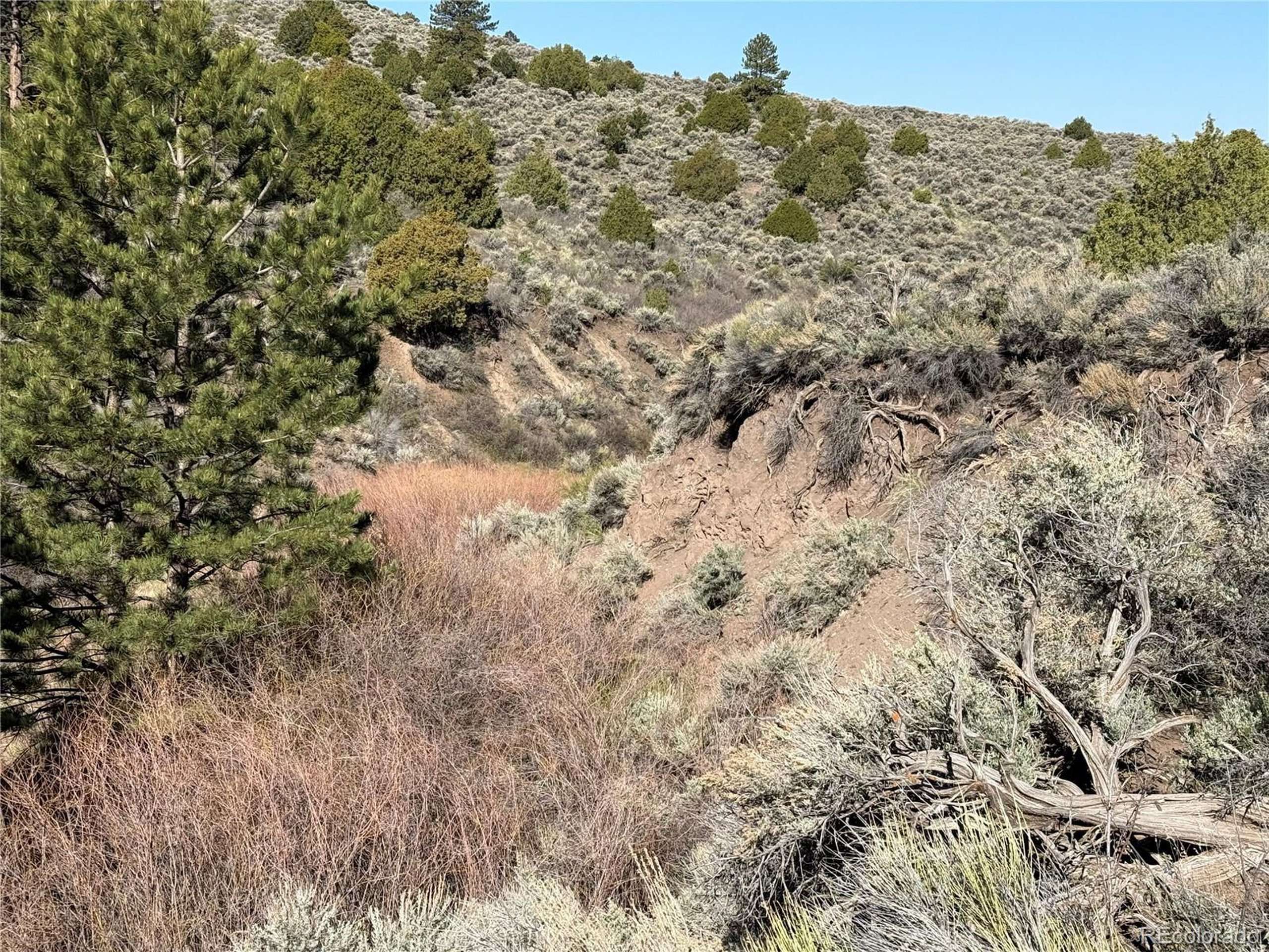Fort Garland, CO 81133,4918 Jaffe Rd