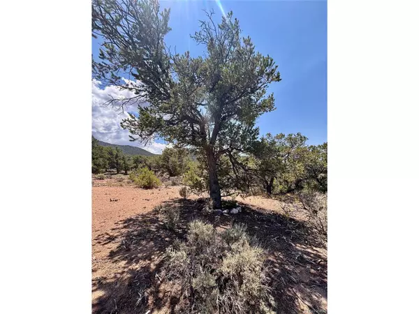 Fort Garland, CO 81133,1134 Jorgulesco Rd